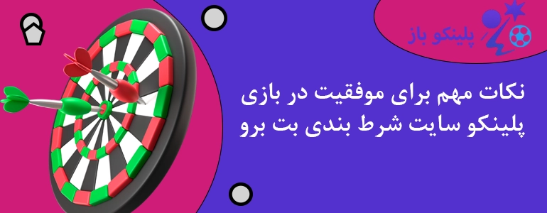نکات مهم برای موفقیت در بازی پلینکو سایت شرط بندی بت برو