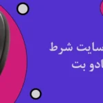بازی پلینکو سایت شرط بندی شادو بت